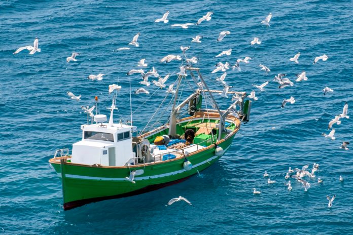 A fishing boat surrounded by seagulls.