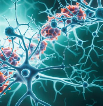 Neurons and Microglia