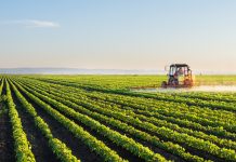 Tractor spraying soybean field