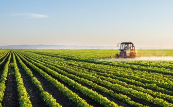 Tractor spraying soybean field