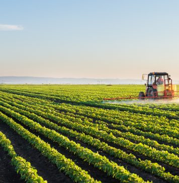 Tractor spraying soybean field