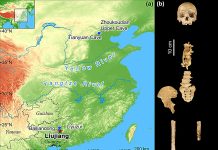 Location of Tongtianyan cave (Liujiang) in Guangxi Province, southern China, together with the location of other key fossils of Homo sapiens in China. Frontal view of the Liujiang cranial and postcranial elements. Credit: Nature Communications (2024). DOI: 10.1038/s41467-024-47787-3