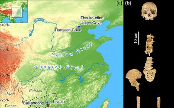 Location of Tongtianyan cave (Liujiang) in Guangxi Province, southern China, together with the location of other key fossils of Homo sapiens in China. Frontal view of the Liujiang cranial and postcranial elements. Credit: Nature Communications (2024). DOI: 10.1038/s41467-024-47787-3