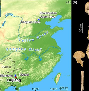 Location of Tongtianyan cave (Liujiang) in Guangxi Province, southern China, together with the location of other key fossils of Homo sapiens in China. Frontal view of the Liujiang cranial and postcranial elements. Credit: Nature Communications (2024). DOI: 10.1038/s41467-024-47787-3