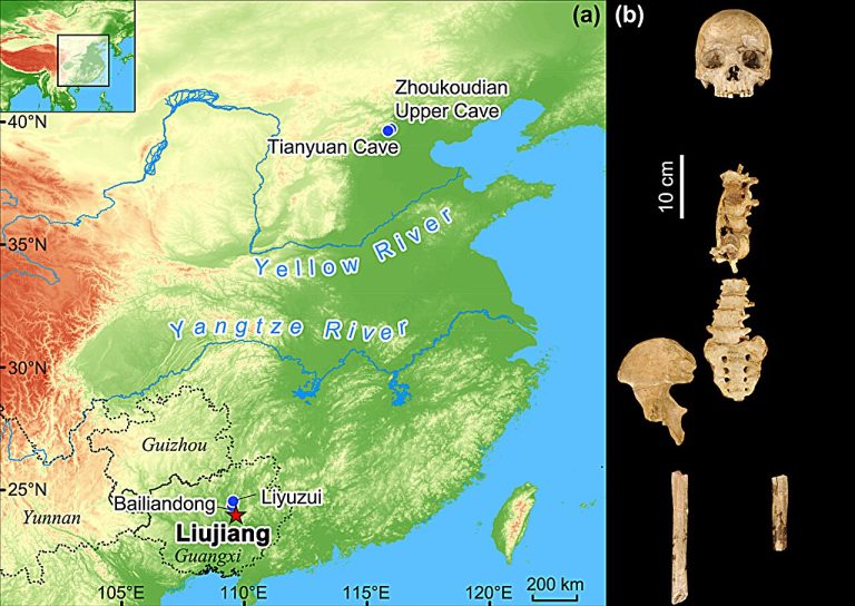 Location of Tongtianyan cave (Liujiang) in Guangxi Province, southern China, together with the location of other key fossils of Homo sapiens in China. Frontal view of the Liujiang cranial and postcranial elements. Credit: Nature Communications (2024). DOI: 10.1038/s41467-024-47787-3