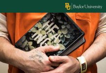 The role of trauma healing in offender rehabilitation