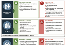 Figure 1: Risk and protective factors according to Substance Abuse and Mental Health Services Administration (2021)