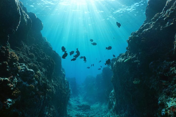 Small canyon underwater carved by the swell into the fore reef with sunlight through water surface, Huahine island, Pacific ocean, French Polynesia