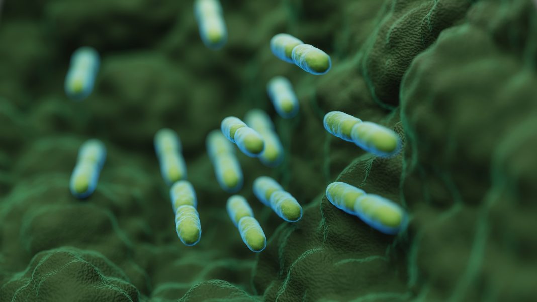 abs Lactobacillus Bulgaricus Bacteria - 3d rendered microbiology image. Medical research, health-care concept.