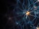 Neurons. Concept. 3D Render