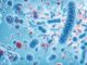 Microscopic blue bacteria background