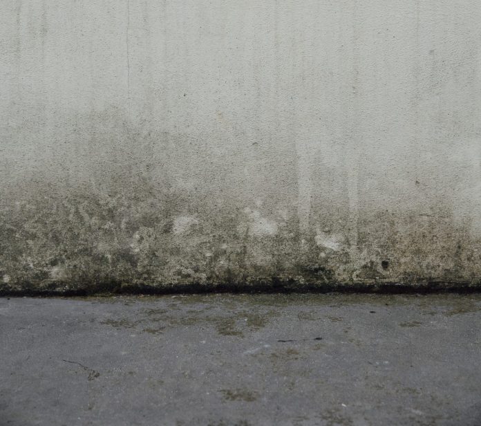 Concrete wall background with mould moisture and sidewalk