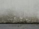 Concrete wall background with mould moisture and sidewalk