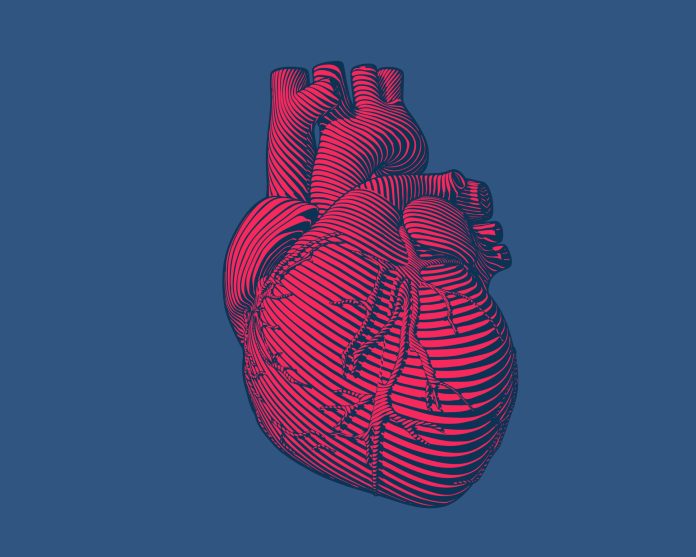 Engraving red human heart with flow line art stroke isolated on blue BG