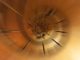 Abstract background from nature using motion, radial or zoom blur - metphor for vertigo, deep space, dizzy, unstable mental health illness, constrained, spinning wheel