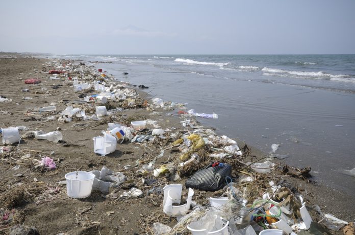 Environmental Pollution