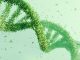 DNA double helix structure made of green leaves on a soft green background. Bioinformatics and green technology concept, eco-scientific design, environmental awareness
