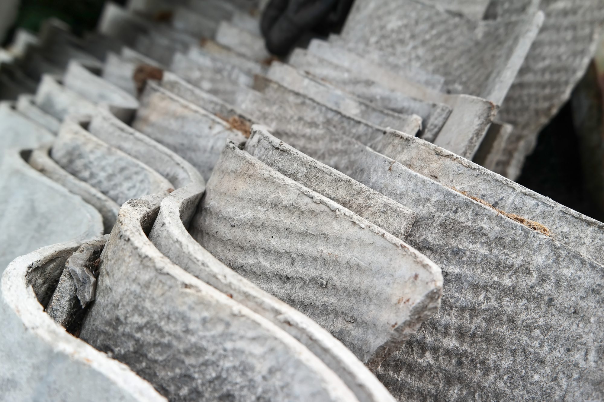 Asbestos Disease Pathogenesis The Long And Short Of It