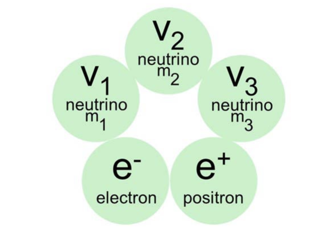 Figure 1: The five elementary particles of the Universe (5)