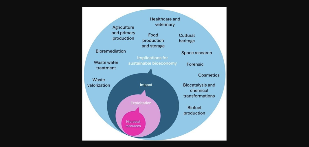 Graphic representation of outcomes derived from the application of microbes.