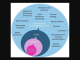 Graphic representation of outcomes derived from the application of microbes.