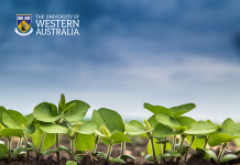 Unveiling healthy soil
