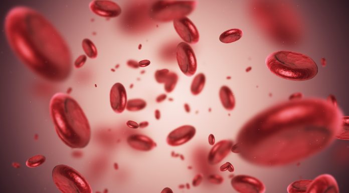 3d render Blood cells (depth of field)