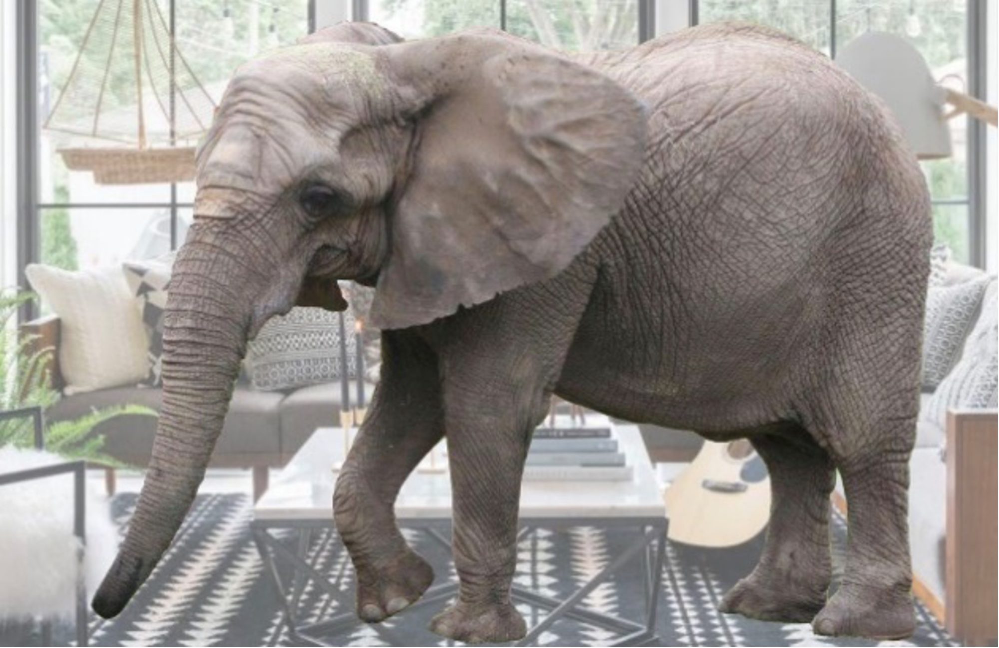 Figure 2: Elephant in room: Why do most researchers look for life’s origins in places with high Na, even though cells have hi K?