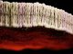 Bilayer Lipid Membrane - 3d rendered image of Cell Membrane Phospholipid Structure, Phospholipid bilayer of the cell membrane. Abstract medical illustration. Microscopic view. Microbiologic research concept.