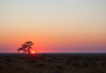 Slipping sun