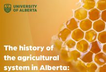 The history of the agricultural system in Alberta: The berry and honey industries