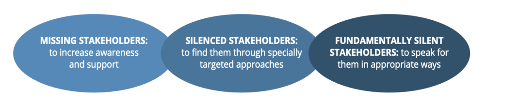 Figure: Types of silent stakeholders