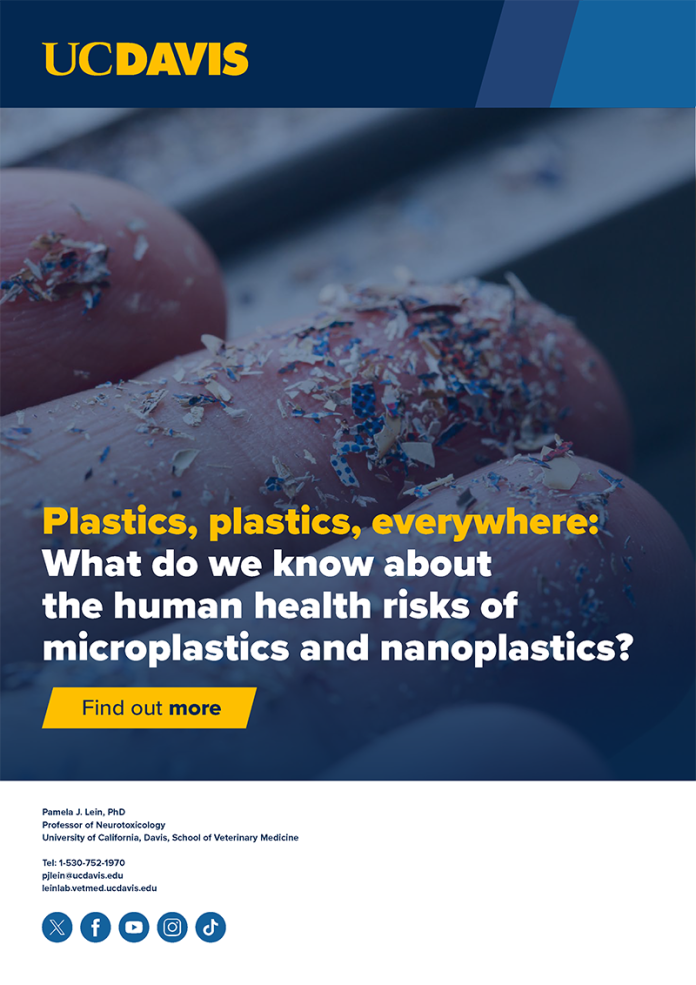 What do we know about the human health risks of microplastics and nanoplastics?