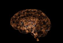 Abstract polygonal brain with connected dots and lines. Artificial intelligence 3d illustration