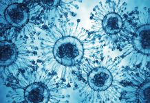 Virus Disease X Cells. Microscope Slide