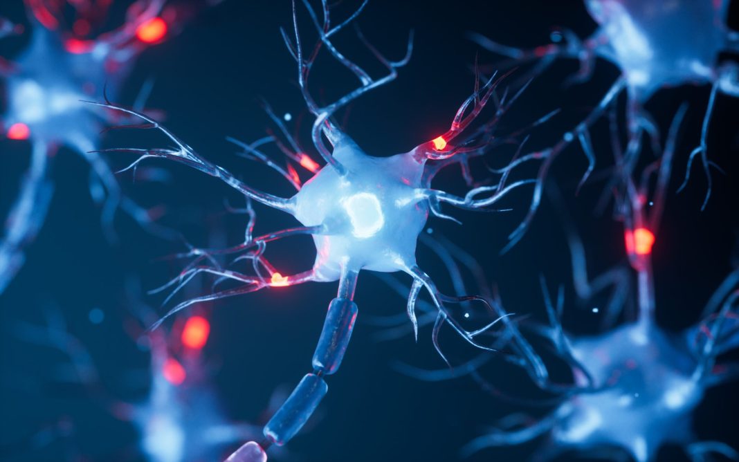 Biology nerve cell with biomedicine concept, 3d rendering. 3D illustration.