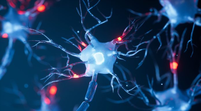 Biology nerve cell with biomedicine concept, 3d rendering. 3D illustration.
