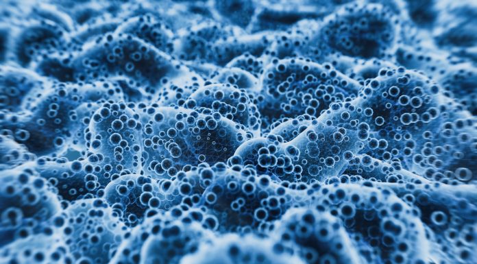 Abstract Lactobacillus Bulgaricus Bacteria - 3d rendered microbiology image. Medical research, health-care concept. SEM (TEM)scanning view