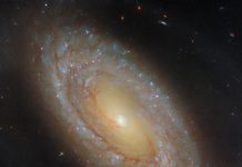This NASA/ESA Hubble Space Telescope image features the picturesque spiral galaxy NGC 4941. ESA/Hubble & NASA, D. Thilker