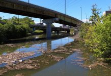 Garbage and debris pollute this waterway under an overpass.