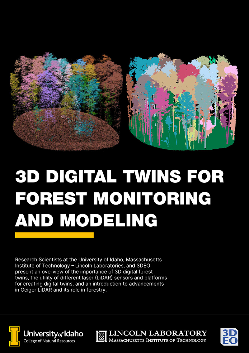3D digital twins for forest monitoring and modeling