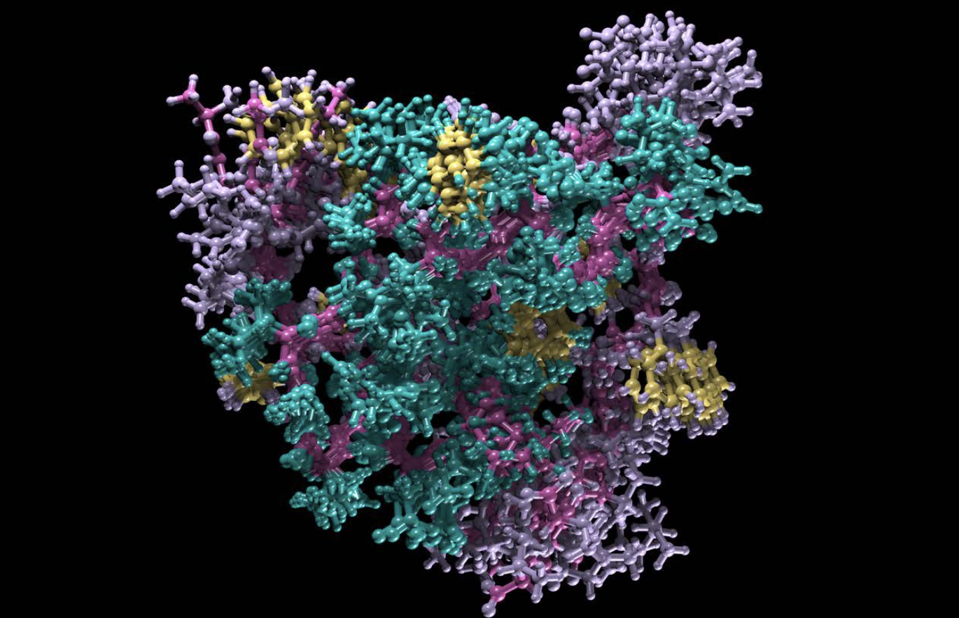 A ball and stick model of Human Insulin