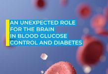 An unexpected role for the brain in blood glucose control and diabetes