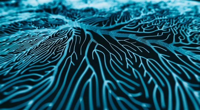 Neuron cells system - 3d rendered image of Neuron cell network on black background. Hologram view interconnected neurons cells with electrical pulses. Conceptual medical image. Glowing synapse. Healthcare concept.