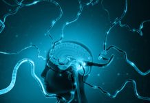 Human brain with active neuron cell