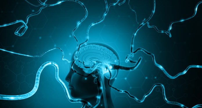 Human brain with active neuron cell