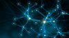 Digital Molecular Structure Concept