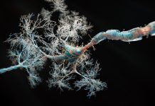 Firing Neurons - 3d rendered image of Neuron cell network on black background. Conceptual medical illustration. Healthcare concept. SEM [TEM] view. Glowing neurons signals.