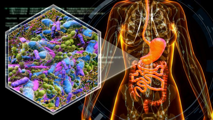 female anatomy with digestive system and bacteria.