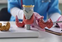 Doctor with human thyroid anatomy model. Thyroid tumor and cancer, postpartum period, papillary carcinoma and health